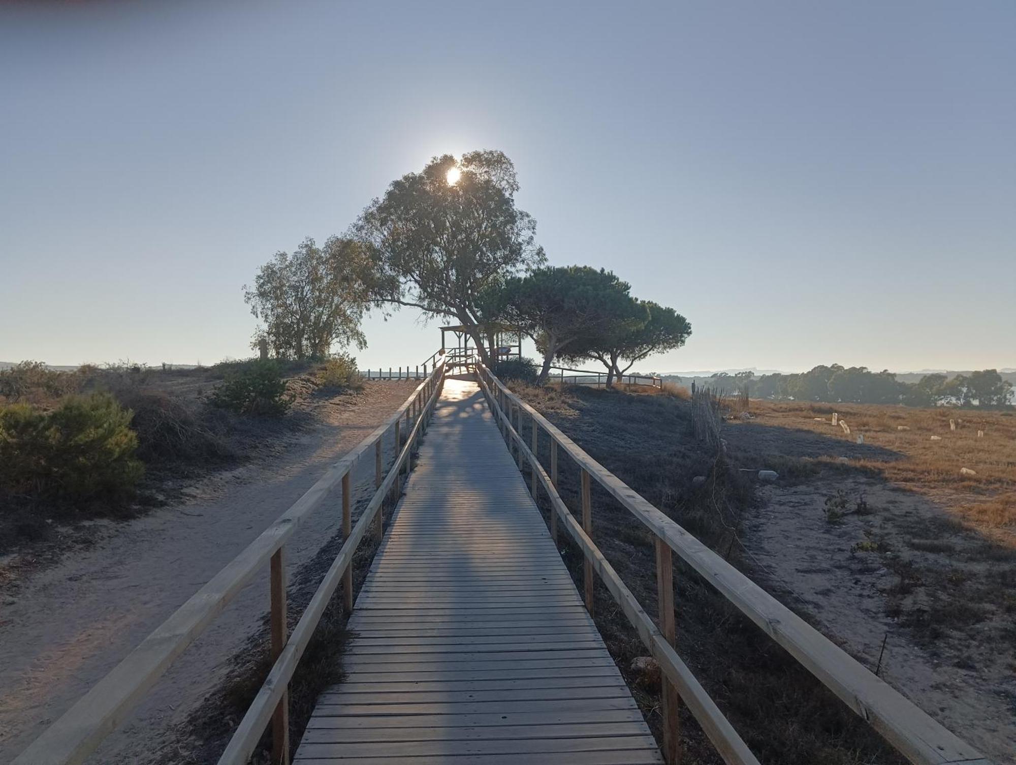 Bonito Apartamento 150 M De La Playa La Mata La Mata  Zewnętrze zdjęcie