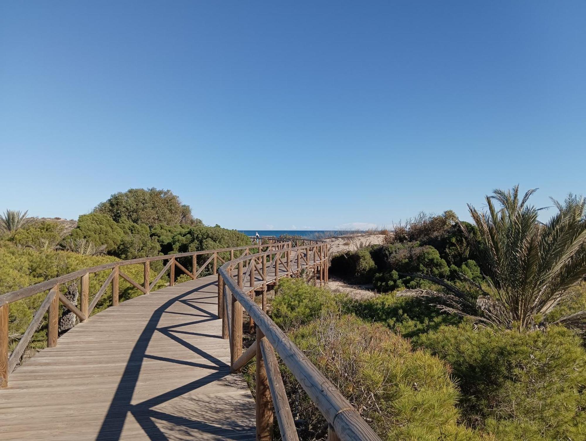 Bonito Apartamento 150 M De La Playa La Mata La Mata  Zewnętrze zdjęcie
