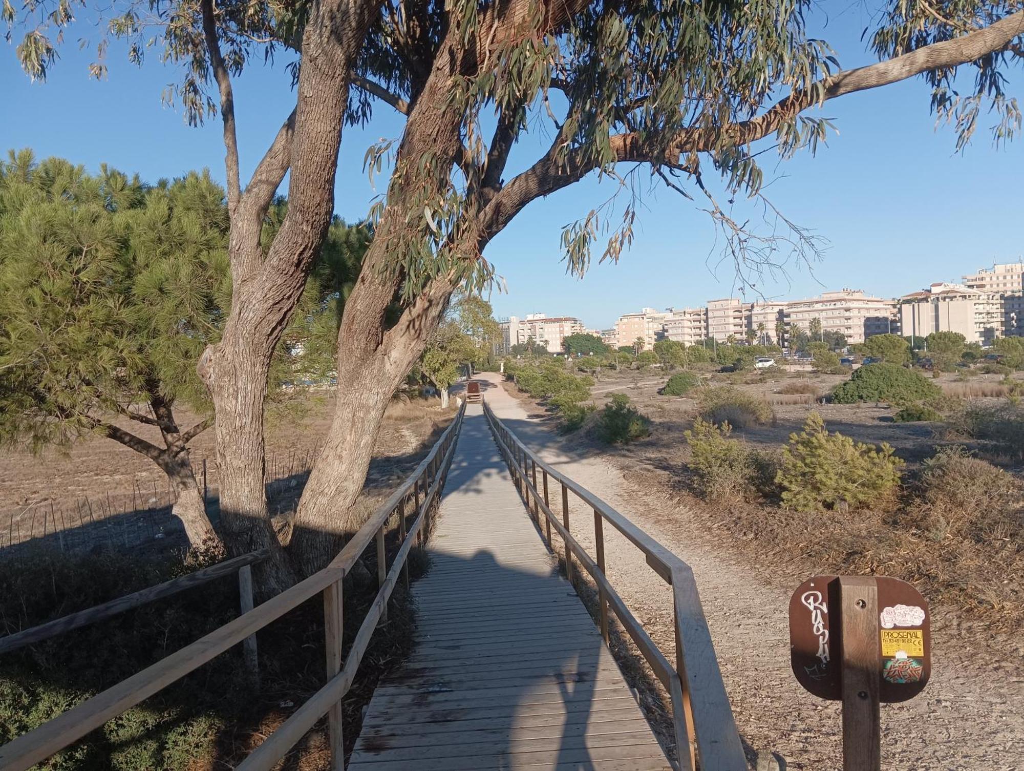 Bonito Apartamento 150 M De La Playa La Mata La Mata  Zewnętrze zdjęcie