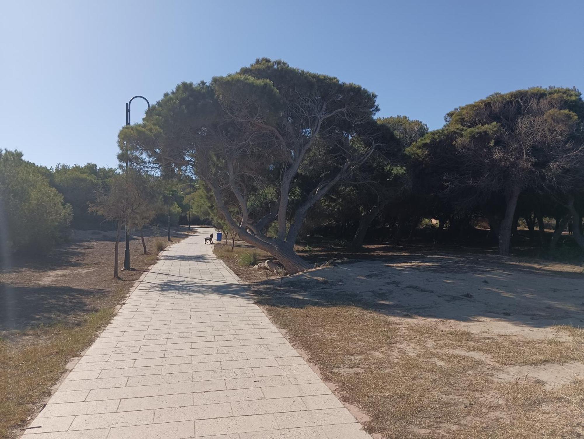 Bonito Apartamento 150 M De La Playa La Mata La Mata  Zewnętrze zdjęcie