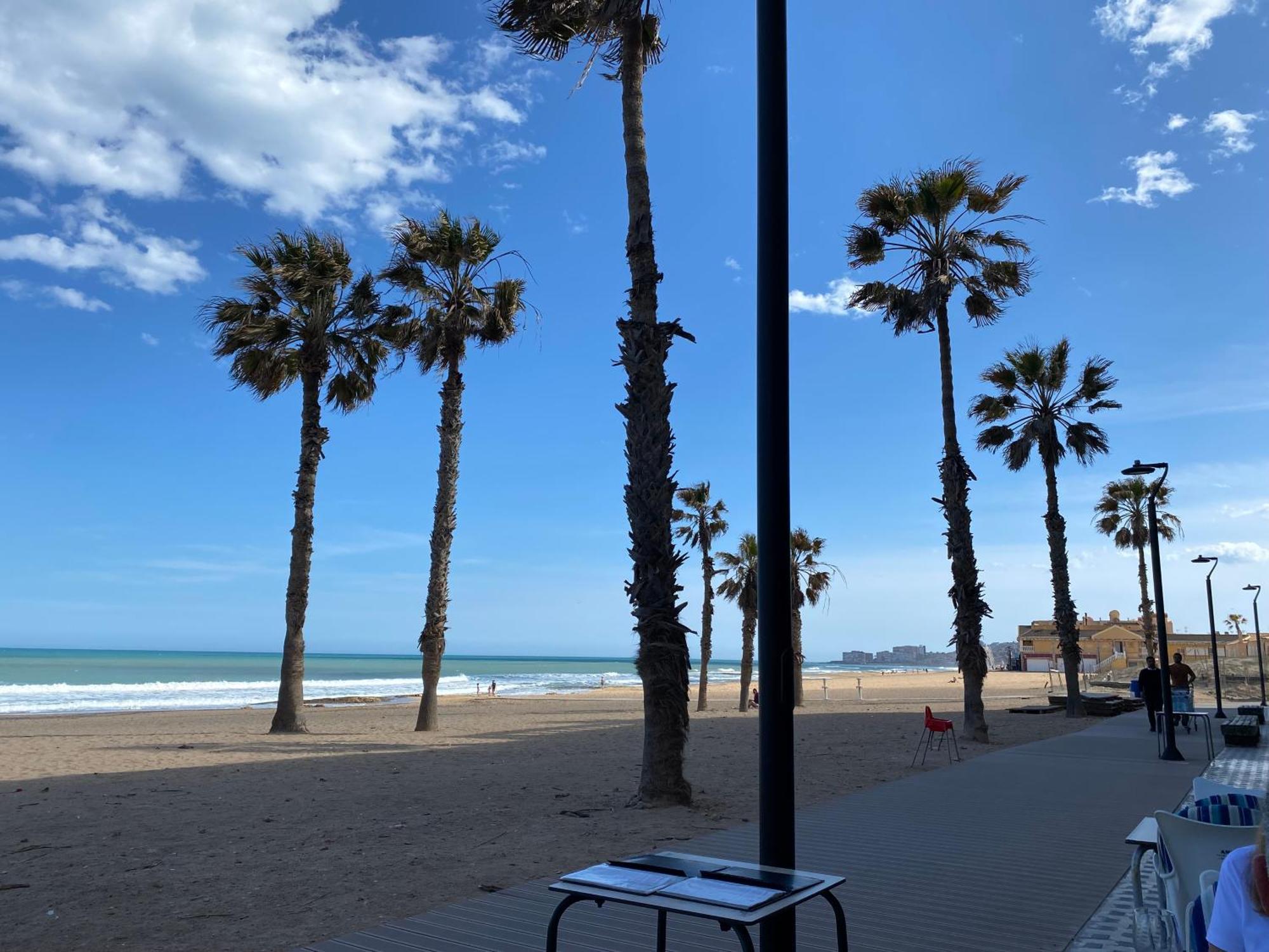 Bonito Apartamento 150 M De La Playa La Mata La Mata  Zewnętrze zdjęcie