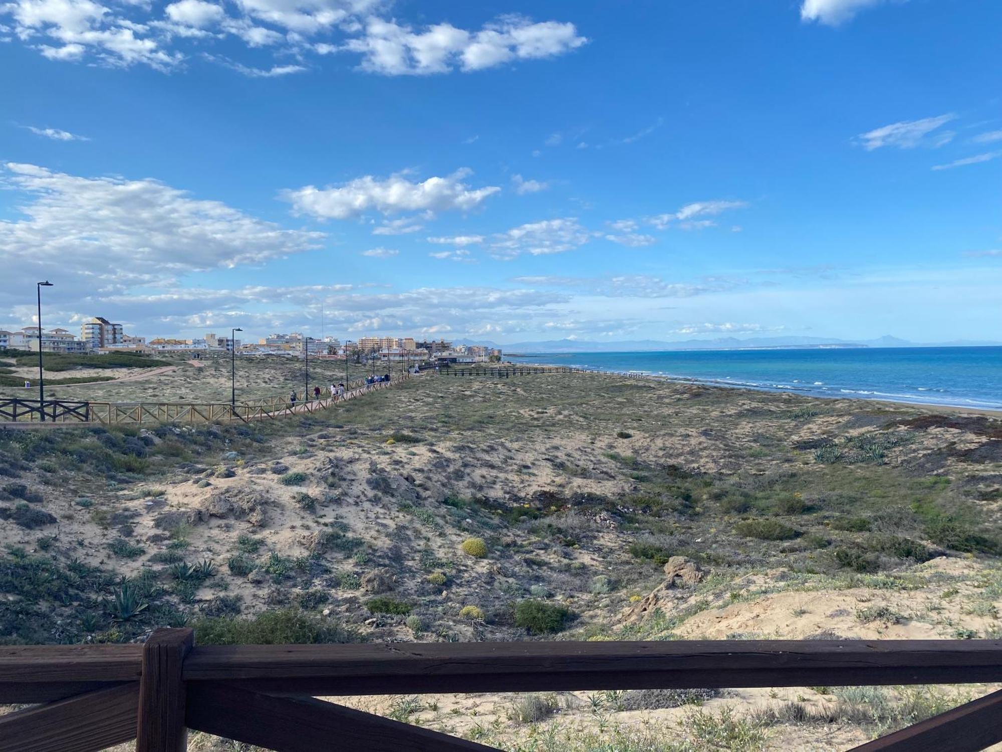 Bonito Apartamento 150 M De La Playa La Mata La Mata  Zewnętrze zdjęcie